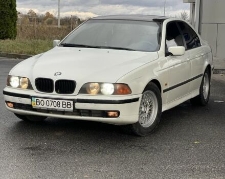 БМВ 5 Серия 1997 в Кременце на Automoto.ua Белый БМВ 5 Серия, объемом двигателя 2.5 л и пробегом 350 тыс. км за 3000 $, фото 1 на Automoto.ua
