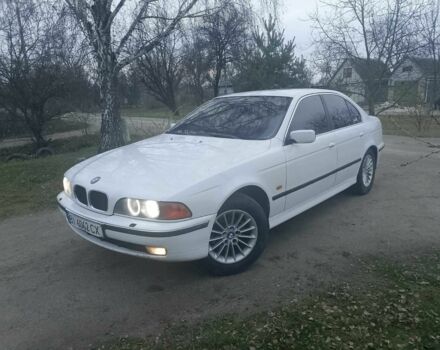 Белый БМВ 5 Серия, объемом двигателя 2.5 л и пробегом 450 тыс. км за 4200 $, фото 1 на Automoto.ua