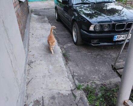 БМВ 5 Серия 1993 в Александрие на Automoto.ua Черный БМВ 5 Серия, объемом двигателя 2.5 л и пробегом 470 тыс. км за 4200 $, фото 2 на Automoto.ua