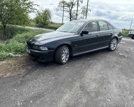 Черный БМВ 5 Серия, объемом двигателя 2.5 л и пробегом 320 тыс. км за 1600 $, фото 1 на Automoto.ua