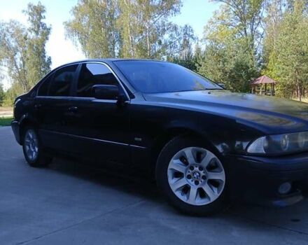 Черный БМВ 5 Серия, объемом двигателя 2.98 л и пробегом 360 тыс. км за 4800 $, фото 6 на Automoto.ua