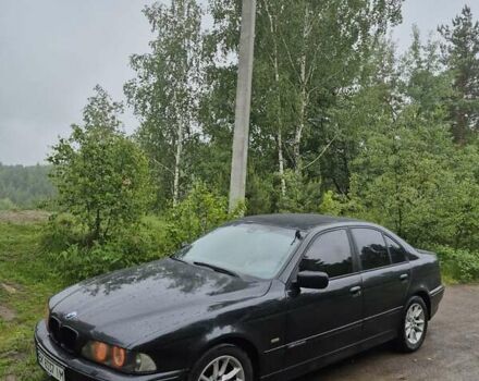 Черный БМВ 5 Серия, объемом двигателя 2.5 л и пробегом 349 тыс. км за 5900 $, фото 2 на Automoto.ua