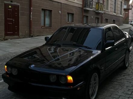 БМВ 5 Серия 1988 в Новоселица на Automoto.ua Черный БМВ 5 Серия, объемом двигателя 2.5 л и пробегом 500 тыс. км за 3200 $, фото 1 на Automoto.ua