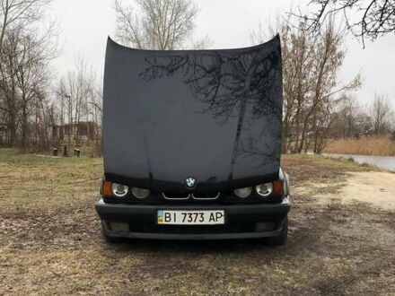 БМВ 5 Серія 1995 у Котельве на Automoto.ua Чорний БМВ 5 Серія, об'ємом двигуна 0 л та пробігом 100 тис. км за 2500 $, фото 1 на Automoto.ua