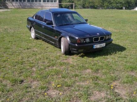 БМВ 5 Серия 1995 в Днепре (Днепропетровске) на Automoto.ua Черный БМВ 5 Серия, объемом двигателя 2.5 л и пробегом 404 тыс. км за 2499 $, фото 1 на Automoto.ua