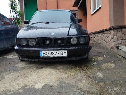 БМВ 5 Серия 1995 в Тернополе на Automoto.ua Черный БМВ 5 Серия, объемом двигателя 2.5 л и пробегом 403 тыс. км за 2002 $, фото 1 на Automoto.ua