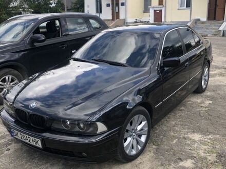 БМВ 5 Серия 1996 в Березно на Automoto.ua Черный БМВ 5 Серия, объемом двигателя 2.5 л и пробегом 400 тыс. км за 4800 $, фото 1 на Automoto.ua