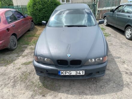 БМВ 5 Серия 1998 в Першотравенске на Automoto.ua Черный БМВ 5 Серия, объемом двигателя 1.9 л и пробегом 270 тыс. км за 1700 $, фото 1 на Automoto.ua