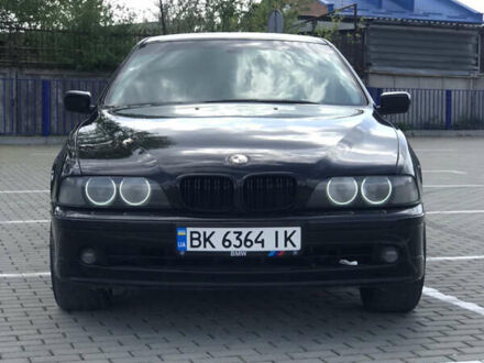 БМВ 5 Серия 1998 в Тернополе на Automoto.ua Черный БМВ 5 Серия, объемом двигателя 3 л и пробегом 395 тыс. км за 4600 $, фото 1 на Automoto.ua