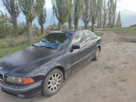 БМВ 5 Серия 1998 в Новомиргороде на Automoto.ua Черный БМВ 5 Серия, объемом двигателя 0 л и пробегом 350 тыс. км за 2500 $, фото 1 на Automoto.ua