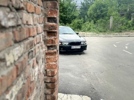 БМВ 5 Серия 1999 в Чернигове на Automoto.ua Черный БМВ 5 Серия, объемом двигателя 3.5 л и пробегом 220 тыс. км за 4450 $, фото 1 на Automoto.ua