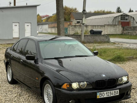 БМВ 5 Серия 1999 в Тернополе на Automoto.ua Черный БМВ 5 Серия, объемом двигателя 3 л и пробегом 400 тыс. км за 5950 $, фото 1 на Automoto.ua