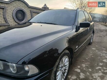 БМВ 5 Серія 2001 у Яремче на Automoto.ua Чорний БМВ 5 Серія, об'ємом двигуна 2.5 л та пробігом 310 тис. км за 4450 $, фото 1 на Automoto.ua