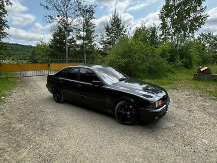 БМВ 5 Серия 2001 в Богородчанах на Automoto.ua Черный БМВ 5 Серия, объемом двигателя 2.99 л и пробегом 350 тыс. км за 7676 $, фото 1 на Automoto.ua