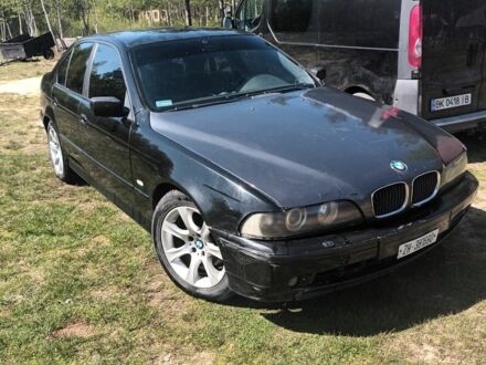 БМВ 5 Серия 2001 в Сарнах на Automoto.ua Черный БМВ 5 Серия, объемом двигателя 3 л и пробегом 347 тыс. км за 2750 $, фото 1 на Automoto.ua
