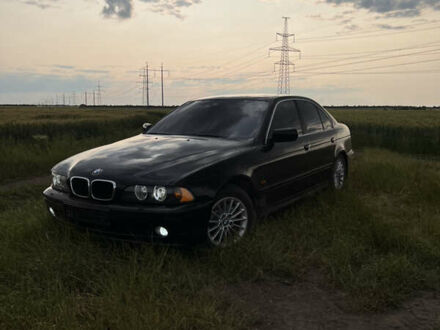 Черный БМВ 5 Серия, объемом двигателя 3 л и пробегом 340 тыс. км за 7400 $, фото 1 на Automoto.ua