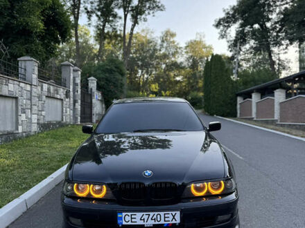 БМВ 5 Серия 2002 в Черновцах на Automoto.ua Черный БМВ 5 Серия, объемом двигателя 2.93 л и пробегом 450 тыс. км за 6000 $, фото 1 на Automoto.ua