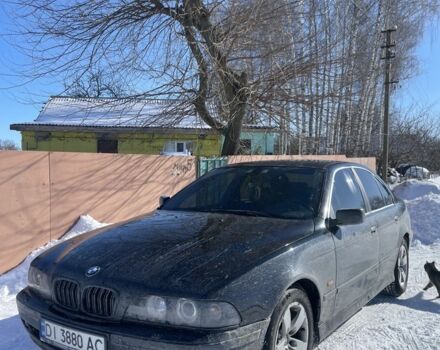 Черный БМВ 5 Серия, объемом двигателя 2.5 л и пробегом 500 тыс. км за 5300 $, фото 1 на Automoto.ua