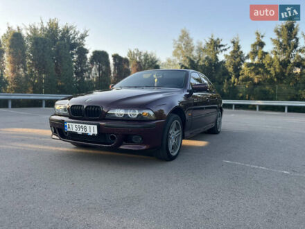 БМВ 5 Серія 1997 у Києві на Automoto.ua Коричневий БМВ 5 Серія, об'ємом двигуна 2.5 л та пробігом 400 тис. км за 4999 $, фото 1 на Automoto.ua