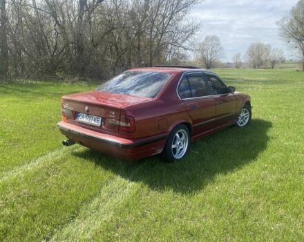 Красный БМВ 5 Серия, объемом двигателя 2.4 л и пробегом 170 тыс. км за 2000 $, фото 2 на Automoto.ua