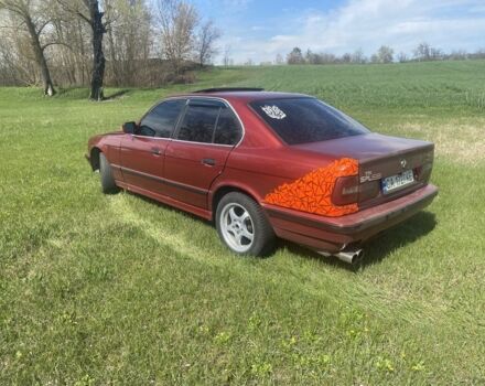 Красный БМВ 5 Серия, объемом двигателя 2.4 л и пробегом 170 тыс. км за 2000 $, фото 3 на Automoto.ua