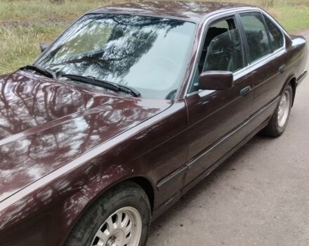 Красный БМВ 5 Серия, объемом двигателя 2.5 л и пробегом 311 тыс. км за 2450 $, фото 10 на Automoto.ua