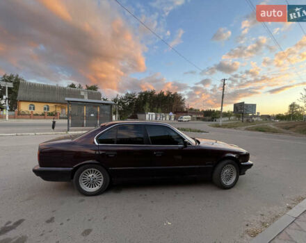 Красный БМВ 5 Серия, объемом двигателя 2.5 л и пробегом 371 тыс. км за 6500 $, фото 5 на Automoto.ua