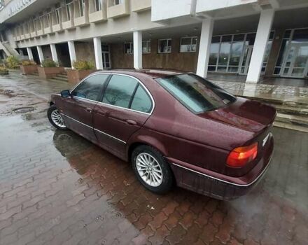 Красный БМВ 5 Серия, объемом двигателя 2.49 л и пробегом 430 тыс. км за 3200 $, фото 3 на Automoto.ua