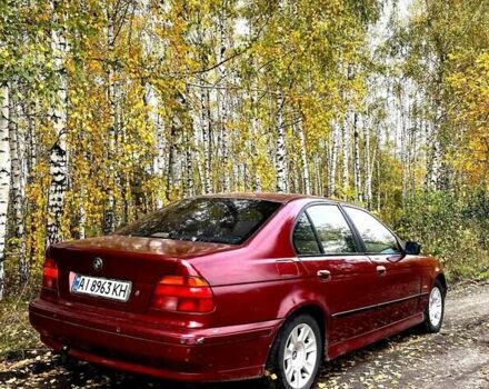 Червоний БМВ 5 Серія, об'ємом двигуна 2.5 л та пробігом 398 тис. км за 3570 $, фото 2 на Automoto.ua