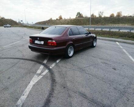 Червоний БМВ 5 Серія, об'ємом двигуна 2 л та пробігом 330 тис. км за 3599 $, фото 4 на Automoto.ua