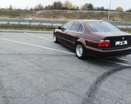 Червоний БМВ 5 Серія, об'ємом двигуна 2 л та пробігом 330 тис. км за 3599 $, фото 2 на Automoto.ua