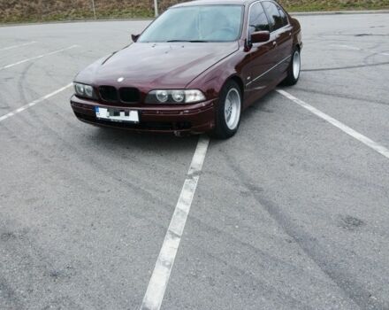 Червоний БМВ 5 Серія, об'ємом двигуна 2 л та пробігом 330 тис. км за 3599 $, фото 6 на Automoto.ua