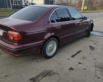 Красный БМВ 5 Серия, объемом двигателя 2.5 л и пробегом 300 тыс. км за 2850 $, фото 1 на Automoto.ua