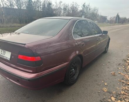 Красный БМВ 5 Серия, объемом двигателя 2.5 л и пробегом 400 тыс. км за 2800 $, фото 3 на Automoto.ua
