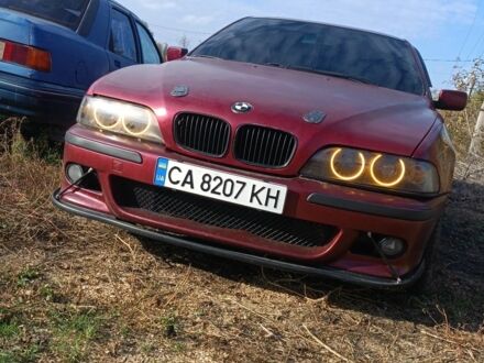 БМВ 5 Серія 1996 у Миргороде на Automoto.ua Червоний БМВ 5 Серія, об'ємом двигуна 2 л та пробігом 56 тис. км за 3700 $, фото 1 на Automoto.ua