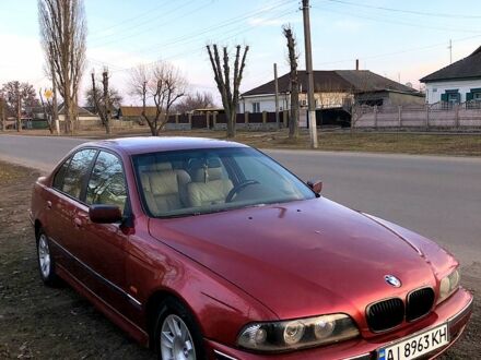 БМВ 5 Серия 1997 в Глобино на Automoto.ua Красный БМВ 5 Серия, объемом двигателя 25 л и пробегом 380 тыс. км за 3980 $, фото 1 на Automoto.ua
