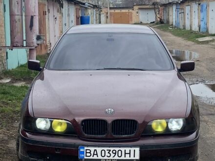 БМВ 5 Серия 1998 в Кропивницком (Кировограде) на Automoto.ua Красный БМВ 5 Серия, объемом двигателя 2 л и пробегом 399 тыс. км за 3650 $, фото 1 на Automoto.ua