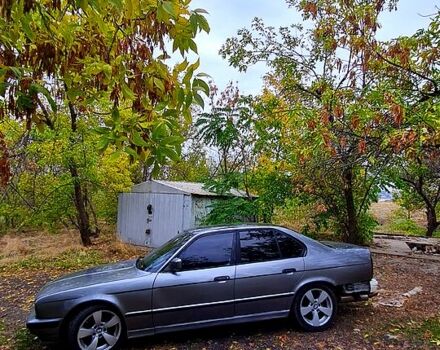 БМВ 5 Серия, объемом двигателя 2 л и пробегом 0 тыс. км за 2000 $, фото 1 на Automoto.ua