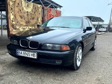 БМВ 5 Серія 1997 у Знаменке на Automoto.ua БМВ 5 Серія, об'ємом двигуна 20 л та пробігом 250 тис. км за 3500 $, фото 1 на Automoto.ua
