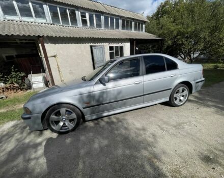 Серый БМВ 5 Серия, объемом двигателя 2 л и пробегом 3 тыс. км за 3800 $, фото 3 на Automoto.ua