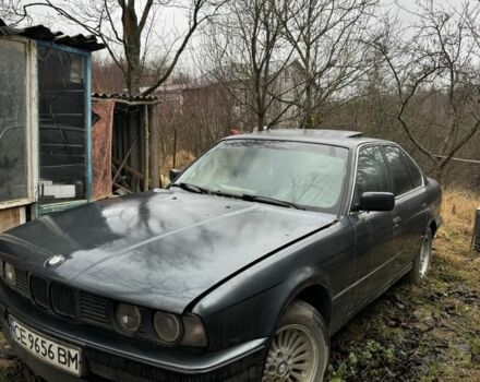 Серый БМВ 5 Серия, объемом двигателя 2.5 л и пробегом 230 тыс. км за 1400 $, фото 1 на Automoto.ua