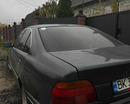 Сірий БМВ 5 Серія, об'ємом двигуна 2.5 л та пробігом 500 тис. км за 4200 $, фото 2 на Automoto.ua