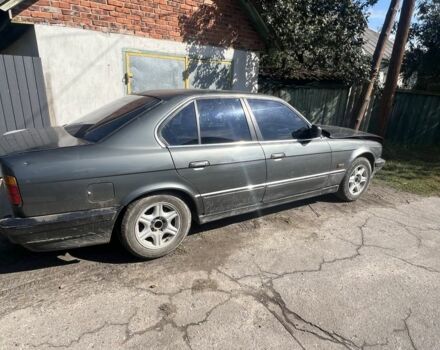 Серый БМВ 5 Серия, объемом двигателя 3 л и пробегом 250 тыс. км за 1300 $, фото 1 на Automoto.ua