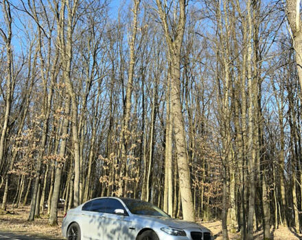 Сірий БМВ 5 Серія, об'ємом двигуна 2 л та пробігом 138 тис. км за 17100 $, фото 33 на Automoto.ua