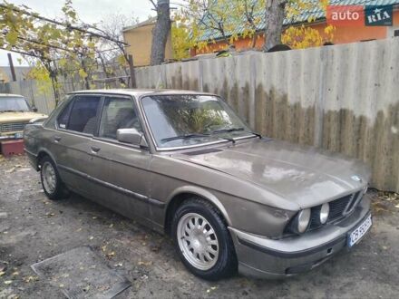 Серый БМВ 5 Серия, объемом двигателя 2.69 л и пробегом 260 тыс. км за 1500 $, фото 1 на Automoto.ua