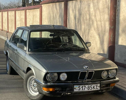 Серый БМВ 5 Серия, объемом двигателя 2.4 л и пробегом 384 тыс. км за 1500 $, фото 1 на Automoto.ua