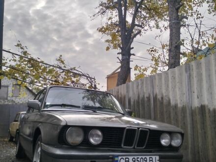 БМВ 5 Серия 1987 в Чернигове на Automoto.ua Серый БМВ 5 Серия, объемом двигателя 2.7 л и пробегом 249 тыс. км за 1500 $, фото 1 на Automoto.ua