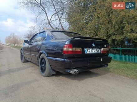 БМВ 5 Серія 1989 у Апостолове на Automoto.ua Сірий БМВ 5 Серія, об'ємом двигуна 2.5 л та пробігом 170 тис. км за 3860 $, фото 1 на Automoto.ua
