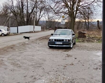 Серый БМВ 5 Серия, объемом двигателя 2.5 л и пробегом 300 тыс. км за 2200 $, фото 1 на Automoto.ua