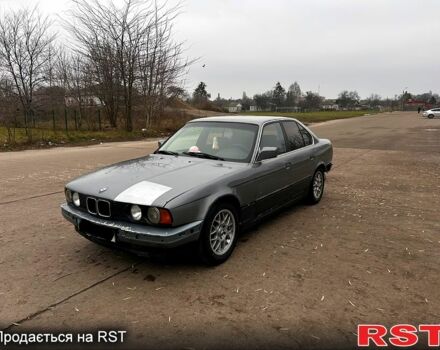 Серый БМВ 5 Серия, объемом двигателя 2 л и пробегом 300 тыс. км за 1900 $, фото 1 на Automoto.ua